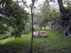 Property for Sale, Italy - Unicasa Italy