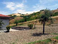 Property for Sale, Italy - Unicasa Italy