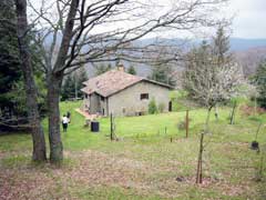 Property for Sale, Italy - Unicasa Italy