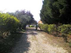 Property for Sale, Italy - Unicasa Italy