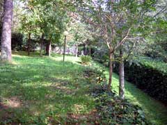 Property for Sale, Italy - Unicasa Italy