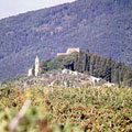 http://www.unicasa-italy.co.uk/thumbs/vineyard.jpg